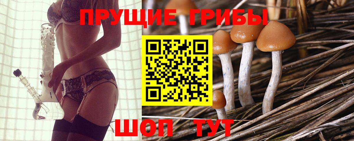 Псилоцибиновые грибы прущие грибы  Вход с VPN  Семёнов 