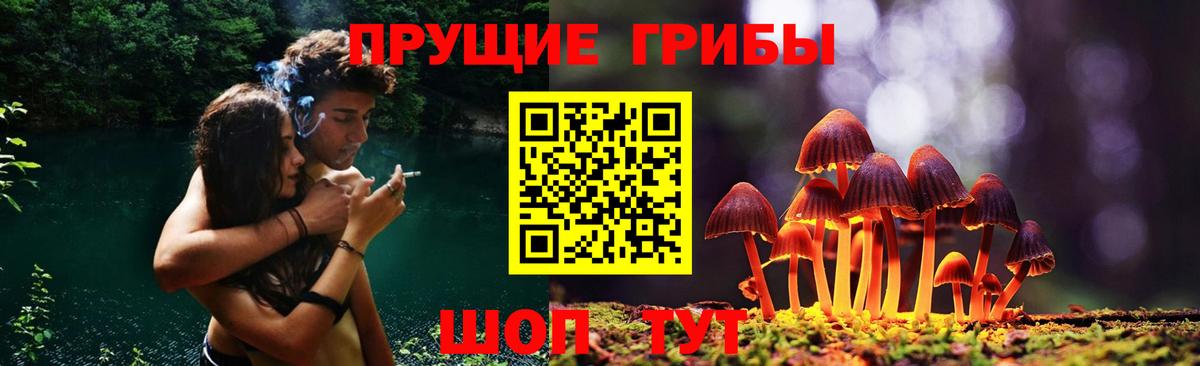 Псилоцибиновые грибы Psilocybe Семёнов